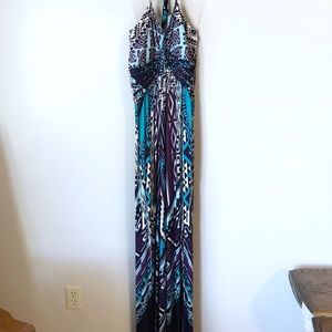 Vanity NWOT Worn Maxi Dress